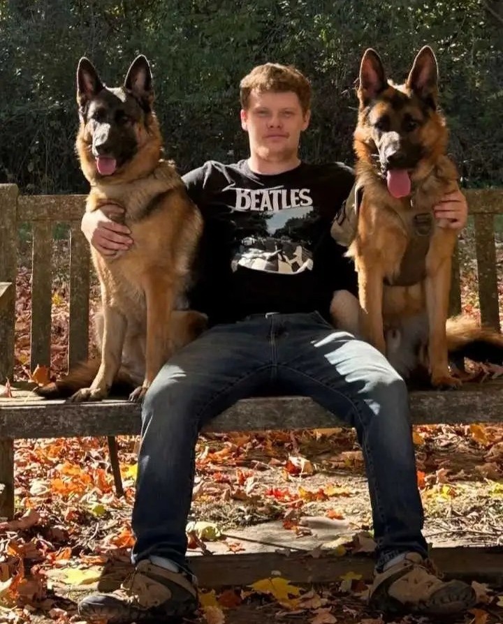 Deutsche Schäferhund-Welpen aus bewährten Arbeits- und Showlinien - Image 4